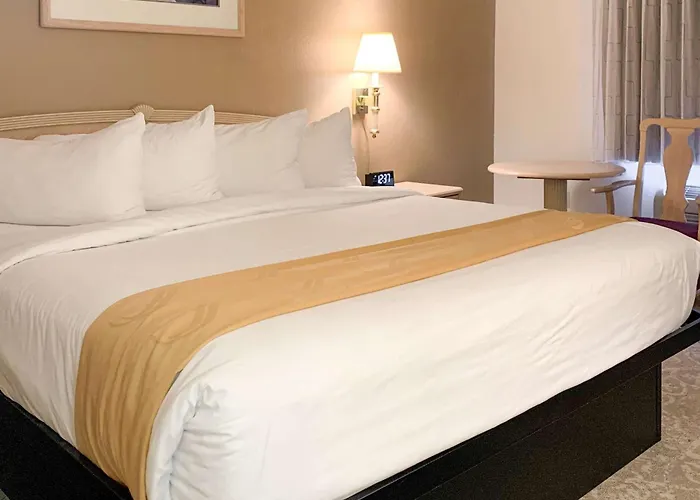 Quality Inn Albuquerque East I-40 Juan Tabo Exit